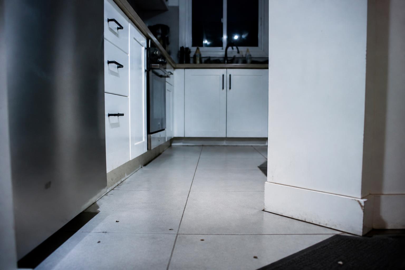 Cafard dans une Maison : Causes, Risques et Comment s'en Débarrasser 2 découvrez les causes courantes des infestations de cafards dans une maison, les risques pour la santé et les méthodes efficaces pour s'en débarrasser définitivement.