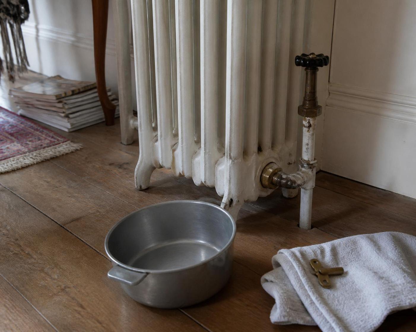 Comment Purger un Radiateur en Fonte : Guide Complet pour un Chauffage Efficace et Optimal 2 découvrez comment purger un radiateur en fonte grâce à notre guide complet pour un chauffage efficace et optimal. astuces simples et conseils pratiques pour améliorer votre confort.