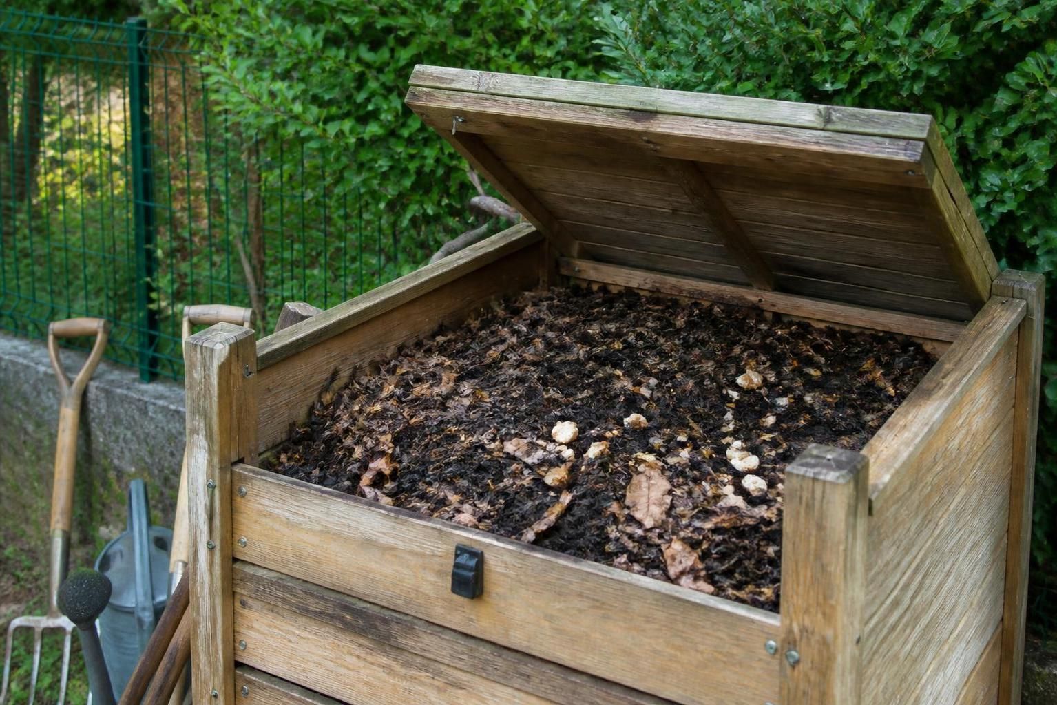 découvrez comment intégrer le pain dans votre compost sans attirer les nuisibles, grâce à des astuces simples et efficaces pour un compostage réussi et écologique.